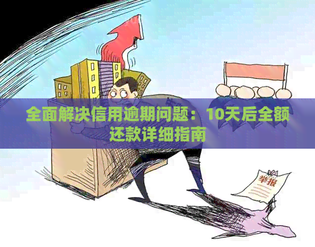 全面解决信用逾期问题：10天后全额还款详细指南