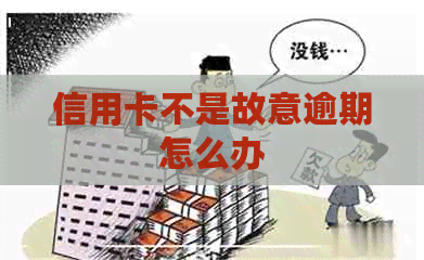 信用卡不是故意逾期怎么办