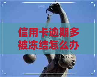 信用卡逾期多被冻结怎么办