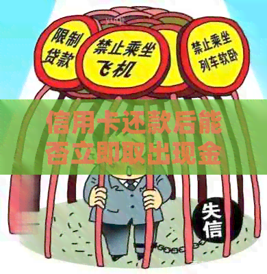 信用卡还款后能否立即取出现金？详细解答与注意事项