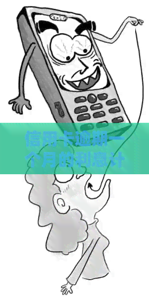 信用卡逾期一个月的利息计算方法及其影响