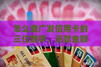 怎么查广发信用卡的三位数字，还款金额，消费记录，退款到账和邮寄进度