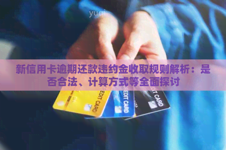新信用卡逾期还款违约金收取规则解析：是否合法、计算方式等全面探讨