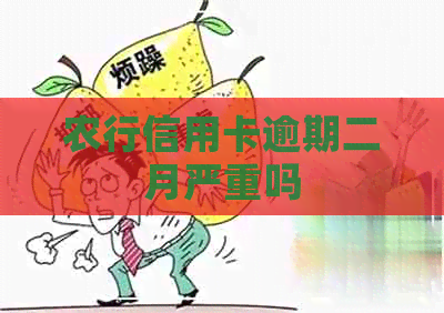 农行信用卡逾期二月严重吗