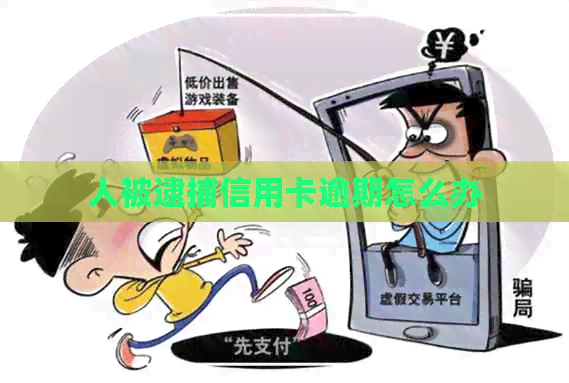 人被逮捕信用卡逾期怎么办