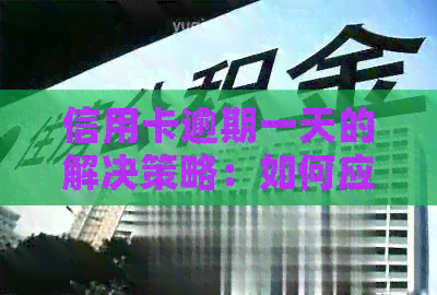 信用卡逾期一天的解决策略：如何应对多次逾期情况