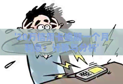 '20万信用卡逾期一个月利息：计算与分析'