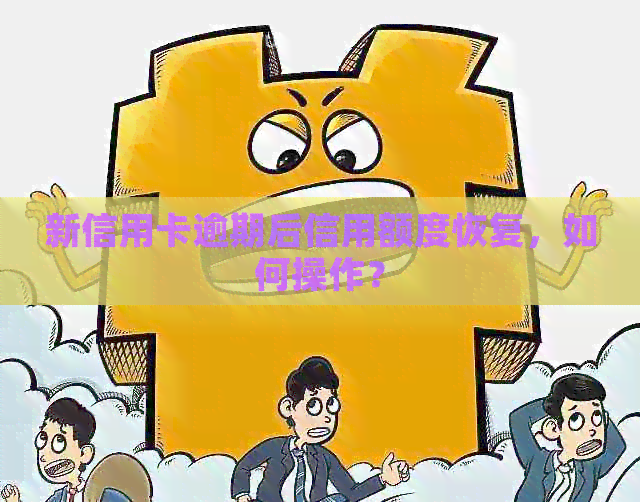 新信用卡逾期后信用额度恢复，如何操作？