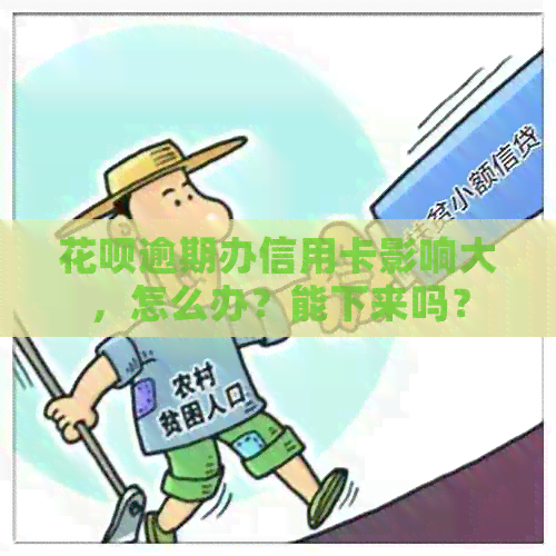 信用卡逾期办信用卡影响大，怎么办？能下来吗？