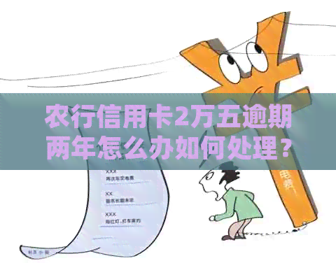 农行信用卡2万五逾期两年怎么办如何处理？