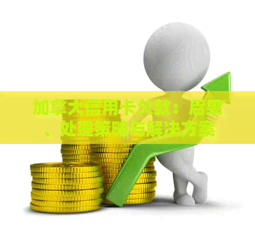 加拿大信用卡欠款：后果、处理策略与解决方案