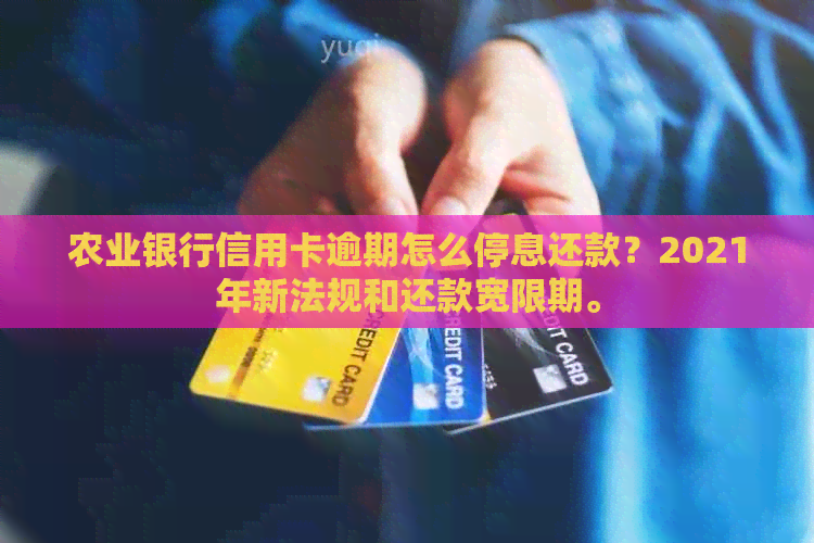 农业银行信用卡逾期怎么停息还款？2021年新法规和还款宽限期。