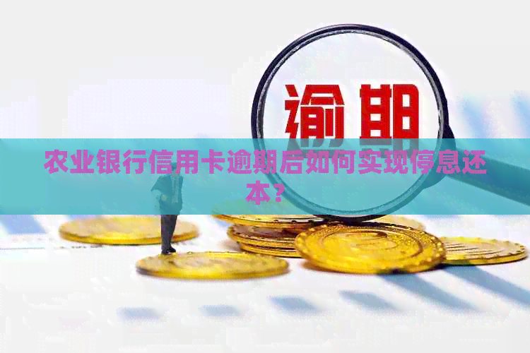 农业银行信用卡逾期后如何实现停息还本？
