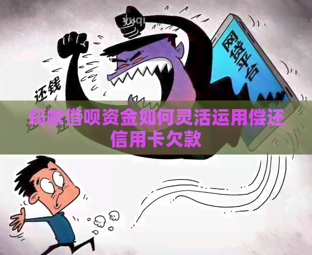 蚂蚁网贷资金如何灵活运用偿还信用卡欠款