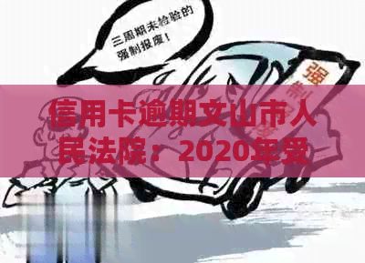 信用卡逾期文山市人民法院：2020年受理案件及处理方式。
