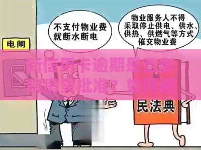 新信用卡逾期是否影响房贷批准？如何避免房贷被拒？