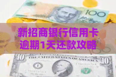 新招商银行信用卡逾期1天还款攻略与注意事项