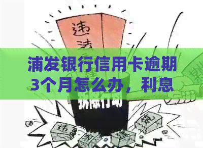 浦发银行信用卡逾期3个月怎么办，利息、开庭和欠款详情