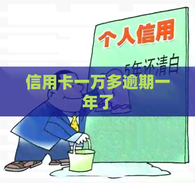 信用卡一万多逾期一年了