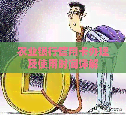 农业银行信用卡办理及使用时间详解