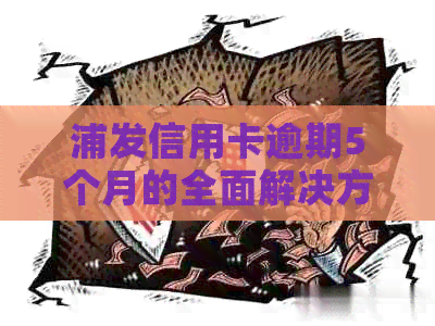 浦发信用卡逾期5个月的全面解决方案：如何应对、修复信用记录与挽回损失？
