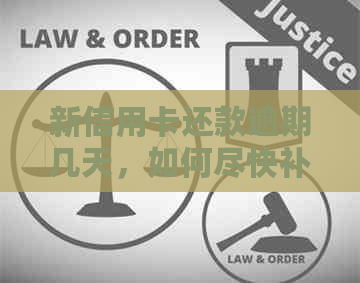 新信用卡还款逾期几天，如何尽快补救？