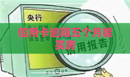 信用卡逾期五个月能买房