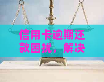 信用卡逾期还款困扰，解决方案在这里！ - 不包含无法使用和怎么办的标题