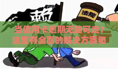 当信用卡逾期无路可走？这里有全面的解决方案和应对方法！