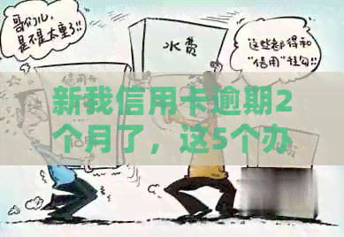新我信用卡逾期2个月了，这5个办法帮你解决困境！