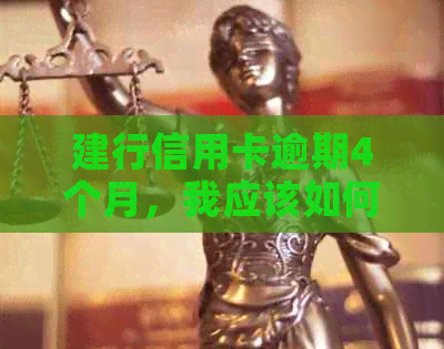 建行信用卡逾期4个月，我应该如何解决？