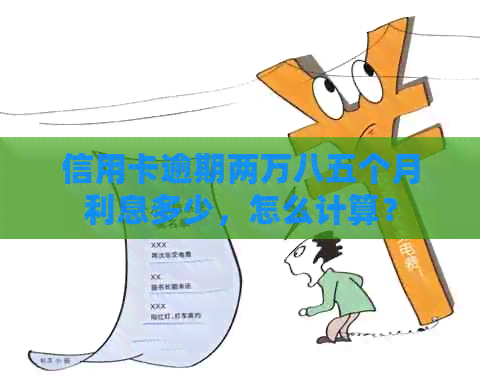信用卡逾期两万八五个月利息多少，怎么计算？