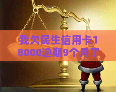 我欠民生信用卡18000逾期9个月了怎么办？