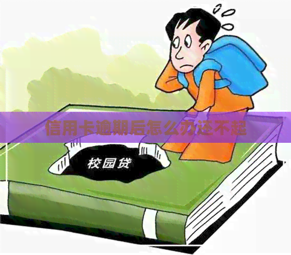 信用卡逾期后怎么办还不起