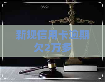 新规信用卡逾期欠2万多