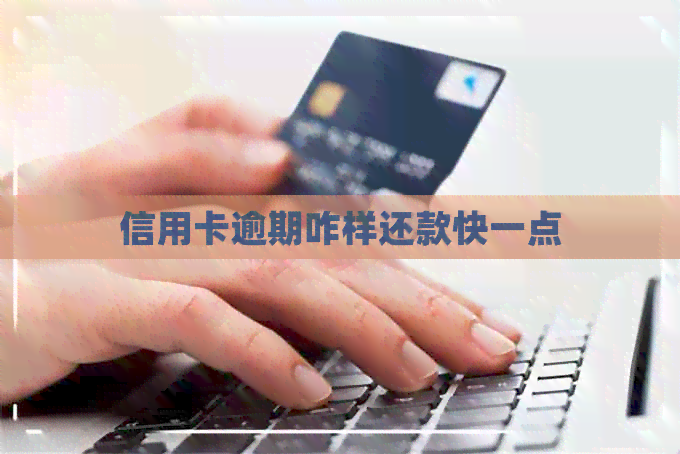 信用卡逾期咋样还款快一点