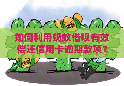 如何利用蚂蚁网贷有效偿还信用卡逾期款项？