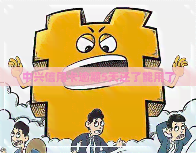 中兴信用卡逾期5天还了能用了