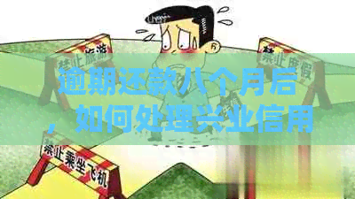 逾期还款八个月后，如何处理兴业信用卡的挑战和解决方案？