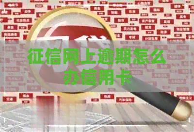 网上逾期怎么办信用卡