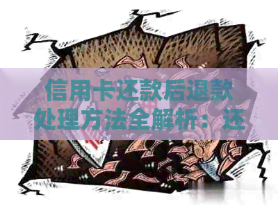 信用卡还款后退款处理方法全解析：还款后出现退款如何操作？