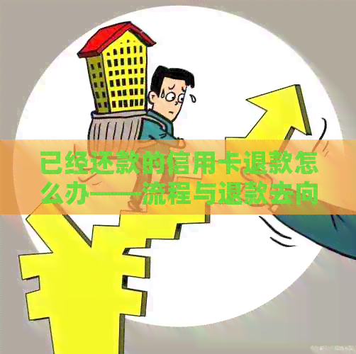 已经还款的信用卡退款怎么办——流程与退款去向解析