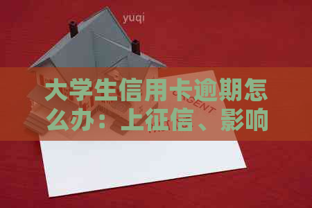 大学生信用卡逾期怎么办：上、影响学业及应对措