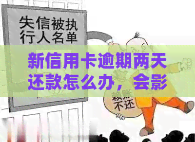 新信用卡逾期两天还款怎么办，会影响我的信用记录吗？
