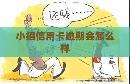 小招信用卡逾期会怎么样