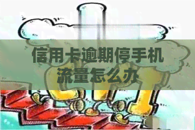 信用卡逾期停手机流量怎么办