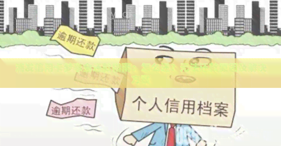浦发信用卡梦享金还款指南：怎么还？无法还款原因及解决方案