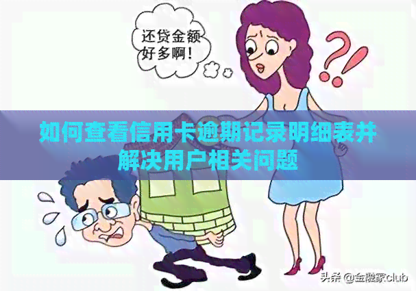 如何查看信用卡逾期记录明细表并解决用户相关问题