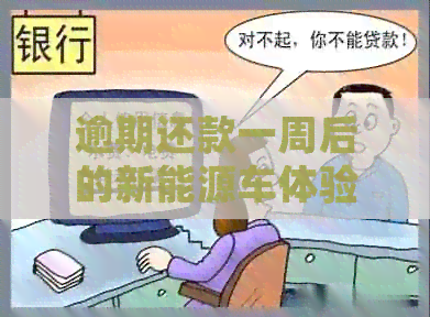 逾期还款一周后的新能源车体验：挑战、应对与未来展望