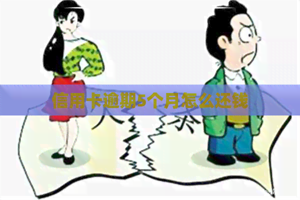 信用卡逾期5个月怎么还钱